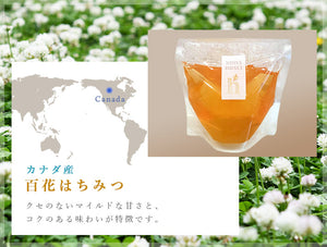 蜂和産業　カナダ産百花はちみつ 120g×3袋 パウチ入り