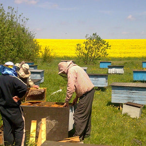 [450g×2袋]蜂和産業 ウクライナ産百花はちみつ