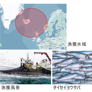 [48缶]マルハニチロ ノルウェー産 さば煮付 200g