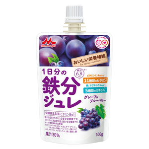 [24個セット]森永乳業 おいしい栄養補給 1日分の鉄分ジュレ グレープ＆ブルーベリー 100g