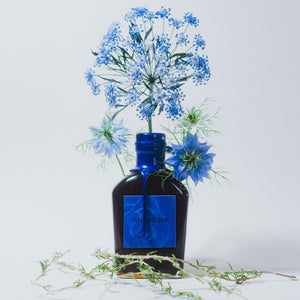[2本セット]MotoCola-瑠璃- ブルーエディション 200ml クラフトコーラ