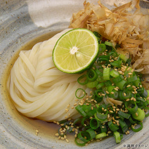 [6食分]讃岐生うどん240g×3袋 ゆうパケット