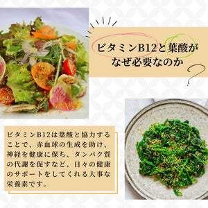 [2袋セット]東京バル EASY VEGAN 酒粕とナッツからできた植物性パルメザンチーズ風味(パウチ) 100g×2