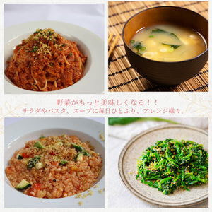 [2袋セット]東京バル EASY VEGAN 酒粕とナッツからできた植物性パルメザンチーズ風味(パウチ) 100g×2