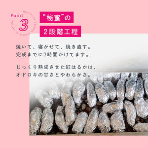 [10本セット]熟成プレミアム 秘蜜な焼き芋 冷凍便