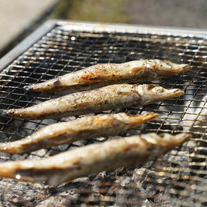 岡富商店 浜焼きセット(あじ/のどぐろ/えてかれい/にぎす)一夜干し詰め合わせ